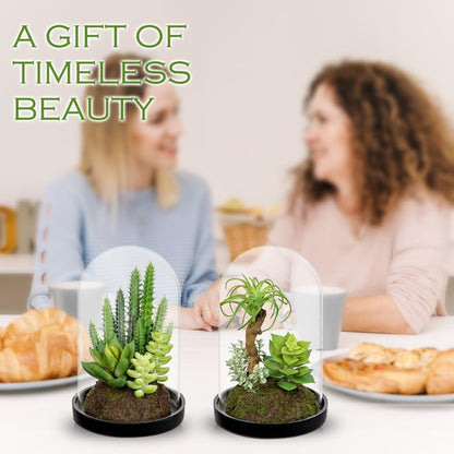 Artificial Succulent in Cylindrical Glass Vase Small Fake Cactus Plant with Modern Glass Terrarium Faux Plants Indoor Gift for Plant Lover Decor for Home Office Table Desk Shelf
