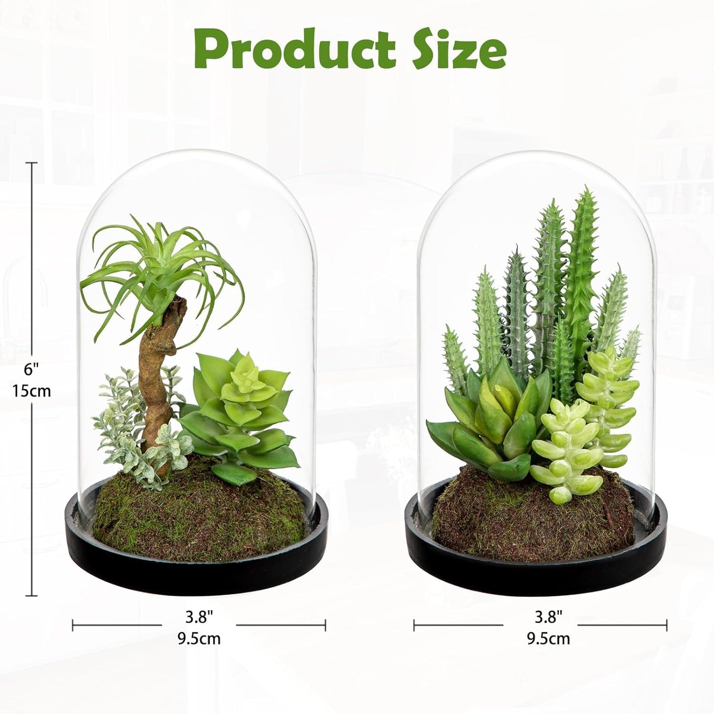 Artificial Succulent in Cylindrical Glass Vase Small Fake Cactus Plant with Modern Glass Terrarium Faux Plants Indoor Gift for Plant Lover Decor for Home Office Table Desk Shelf