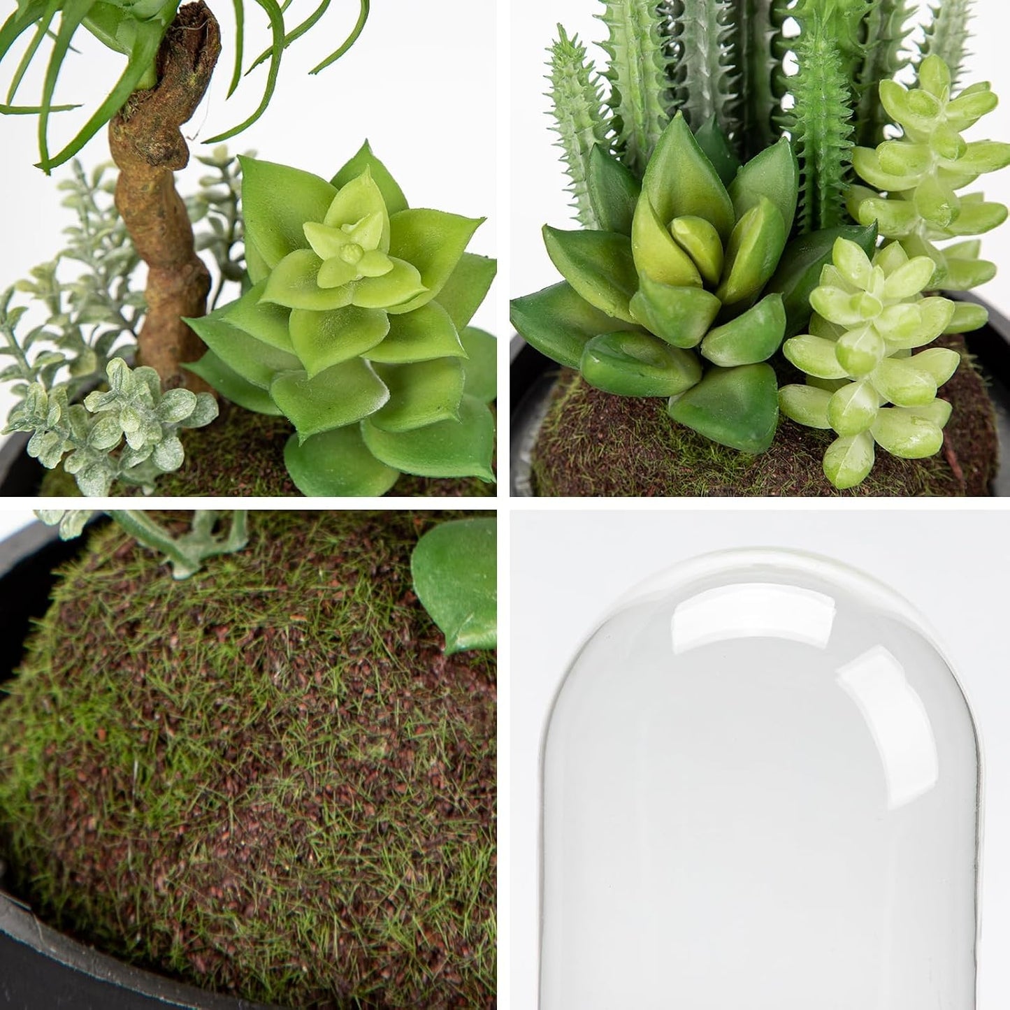 Artificial Succulent in Cylindrical Glass Vase Small Fake Cactus Plant with Modern Glass Terrarium Faux Plants Indoor Gift for Plant Lover Decor for Home Office Table Desk Shelf