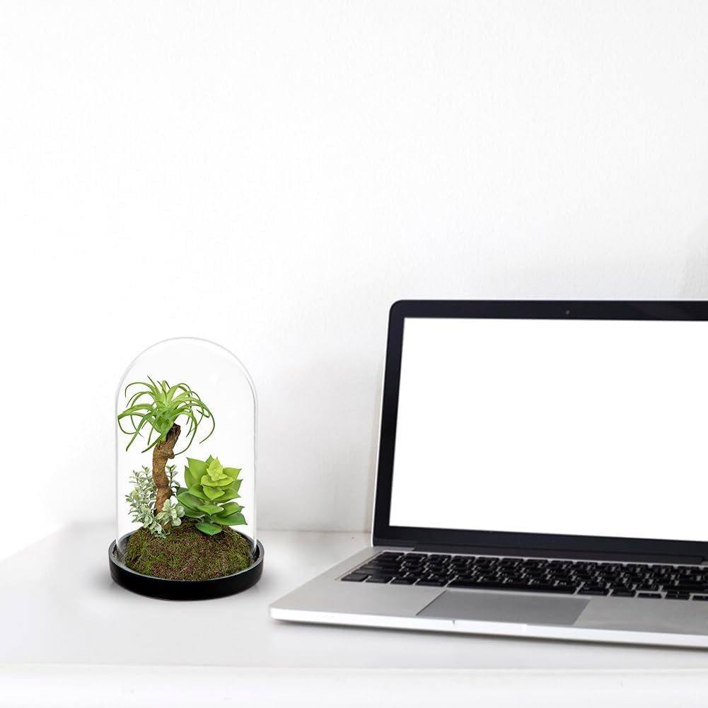 Artificial Succulent in Cylindrical Glass Vase Small Fake Cactus Plant with Modern Glass Terrarium Faux Plants Indoor Gift for Plant Lover Decor for Home Office Table Desk Shelf