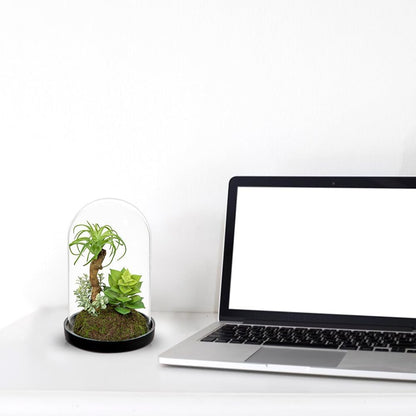 Artificial Succulent in Cylindrical Glass Vase Small Fake Cactus Plant with Modern Glass Terrarium Faux Plants Indoor Gift for Plant Lover Decor for Home Office Table Desk Shelf