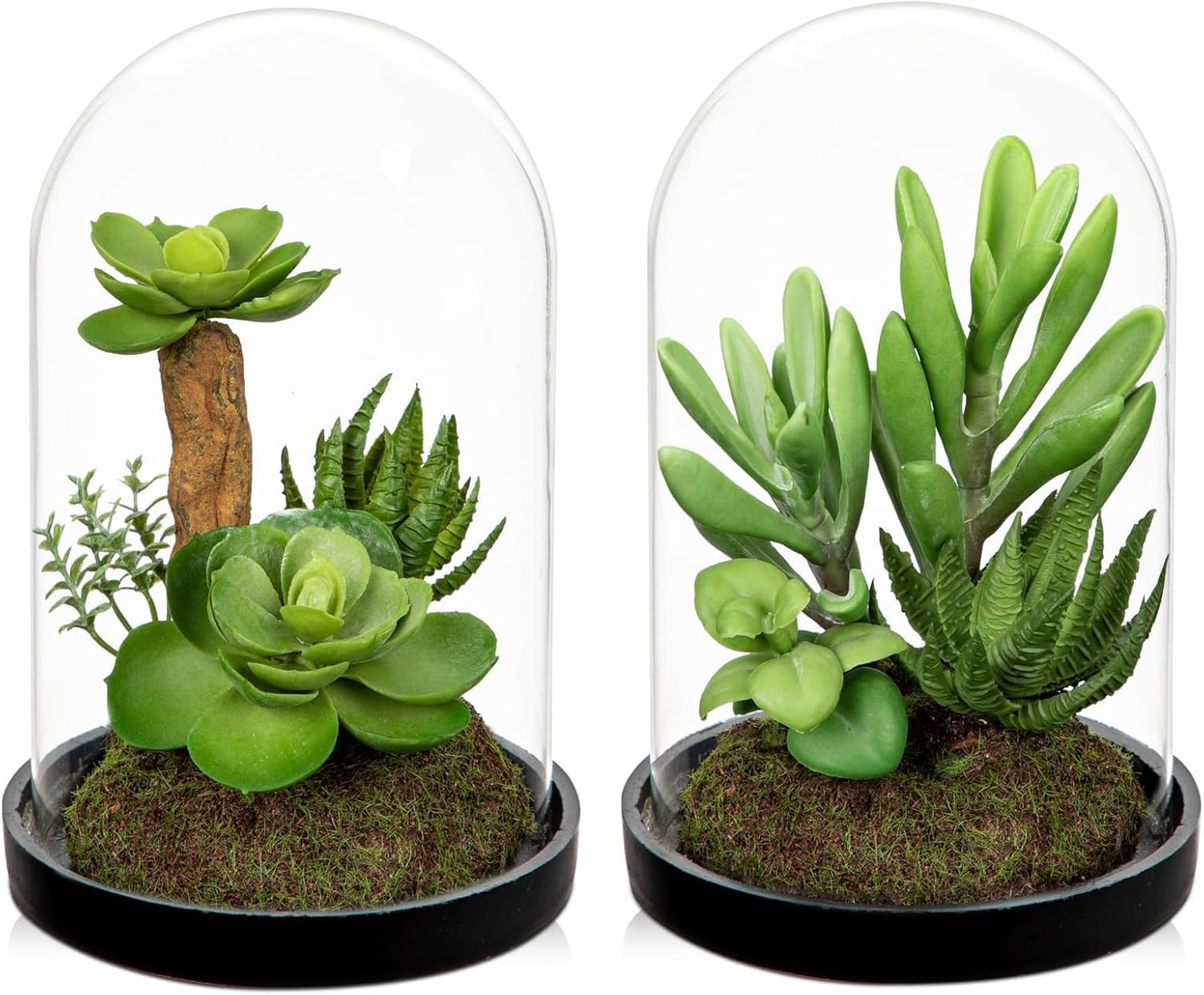 Artificial Succulent in Cylindrical Glass Vase Small Fake Cactus Plant with Modern Glass Terrarium Faux Plants Indoor Gift for Plant Lover Decor for Home Office Table Desk Shelf