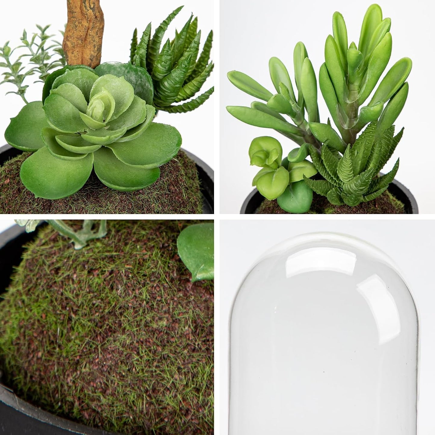 Artificial Succulent in Cylindrical Glass Vase Small Fake Cactus Plant with Modern Glass Terrarium Faux Plants Indoor Gift for Plant Lover Decor for Home Office Table Desk Shelf