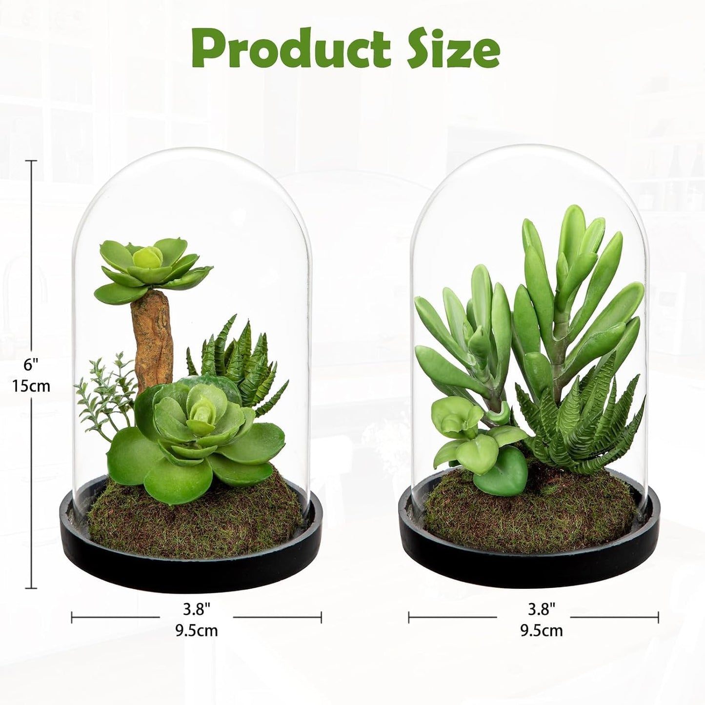 Artificial Succulent in Cylindrical Glass Vase Small Fake Cactus Plant with Modern Glass Terrarium Faux Plants Indoor Gift for Plant Lover Decor for Home Office Table Desk Shelf