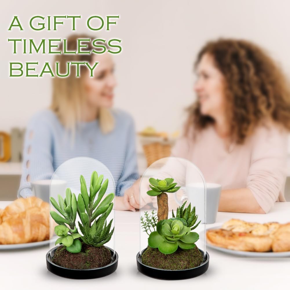 Artificial Succulent in Cylindrical Glass Vase Small Fake Cactus Plant with Modern Glass Terrarium Faux Plants Indoor Gift for Plant Lover Decor for Home Office Table Desk Shelf