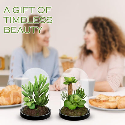 Artificial Succulent in Cylindrical Glass Vase Small Fake Cactus Plant with Modern Glass Terrarium Faux Plants Indoor Gift for Plant Lover Decor for Home Office Table Desk Shelf