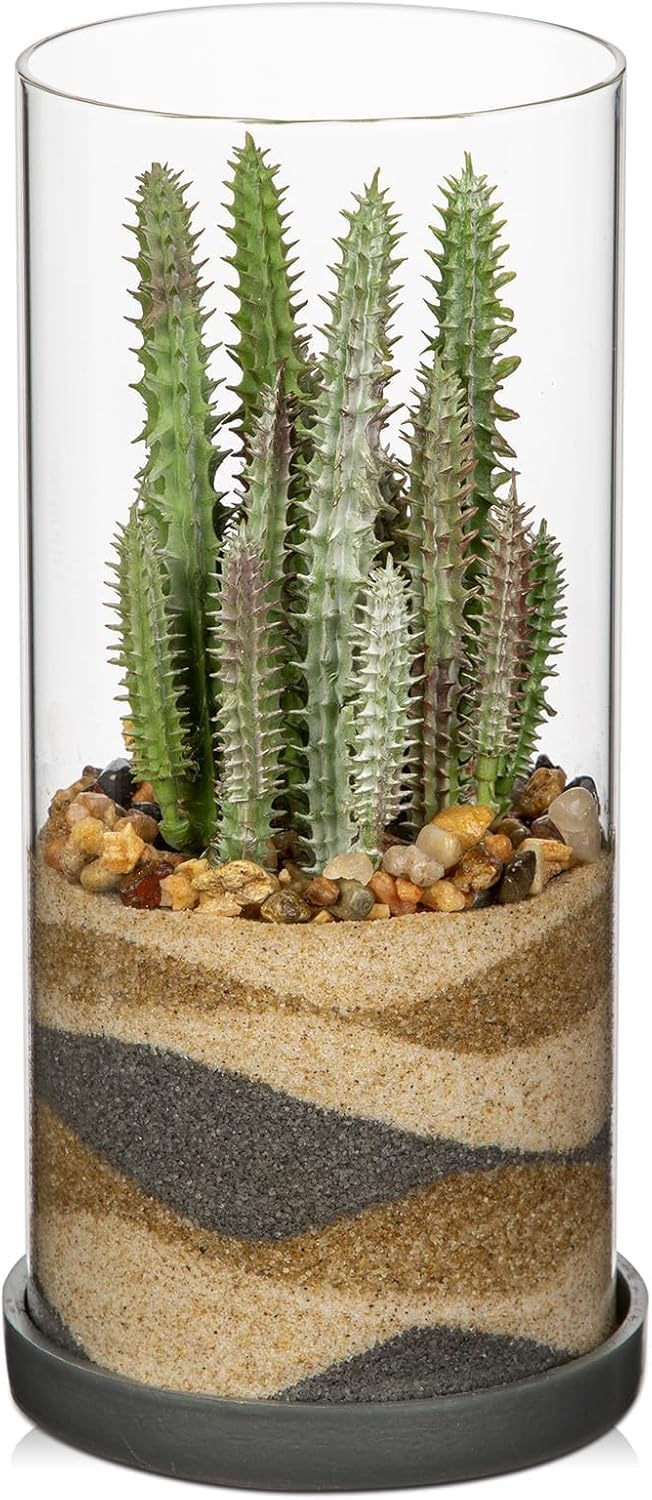 Artificial Succulent in Cylindrical Glass Vase Small Fake Cactus Plant with Modern Glass Terrarium Faux Plants Indoor Gift for Plant Lover Decor for Home Office Table Desk Shelf