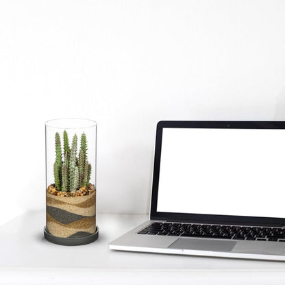 Artificial Succulent in Cylindrical Glass Vase Small Fake Cactus Plant with Modern Glass Terrarium Faux Plants Indoor Gift for Plant Lover Decor for Home Office Table Desk Shelf