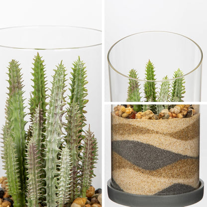 Artificial Succulent in Cylindrical Glass Vase Small Fake Cactus Plant with Modern Glass Terrarium Faux Plants Indoor Gift for Plant Lover Decor for Home Office Table Desk Shelf