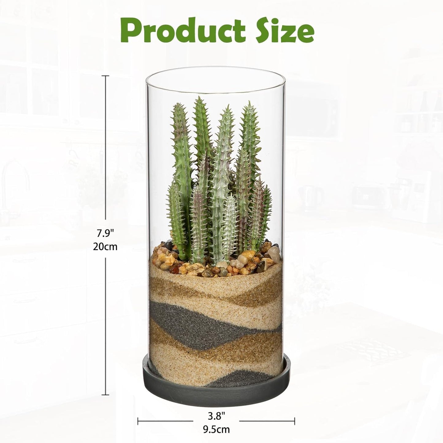 Artificial Succulent in Cylindrical Glass Vase Small Fake Cactus Plant with Modern Glass Terrarium Faux Plants Indoor Gift for Plant Lover Decor for Home Office Table Desk Shelf