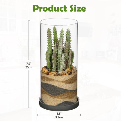 Artificial Succulent in Cylindrical Glass Vase Small Fake Cactus Plant with Modern Glass Terrarium Faux Plants Indoor Gift for Plant Lover Decor for Home Office Table Desk Shelf