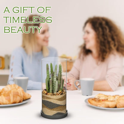 Artificial Succulent in Cylindrical Glass Vase Small Fake Cactus Plant with Modern Glass Terrarium Faux Plants Indoor Gift for Plant Lover Decor for Home Office Table Desk Shelf