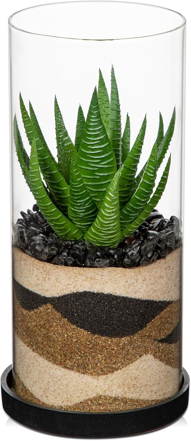 Artificial Succulent in Cylindrical Glass Vase Small Fake Cactus Plant with Modern Glass Terrarium Faux Plants Indoor Gift for Plant Lover Decor for Home Office Table Desk Shelf