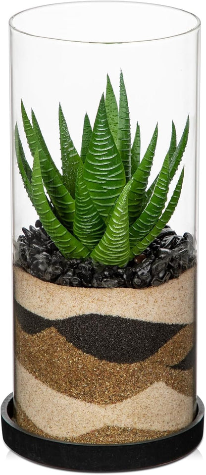 Artificial Succulent in Cylindrical Glass Vase Small Fake Cactus Plant with Modern Glass Terrarium Faux Plants Indoor Gift for Plant Lover Decor for Home Office Table Desk Shelf