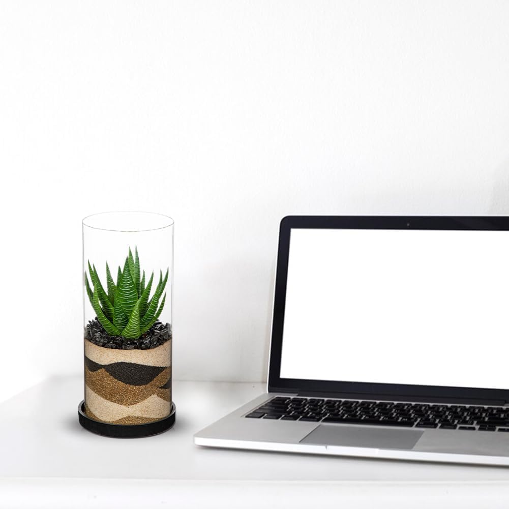 Artificial Succulent in Cylindrical Glass Vase Small Fake Cactus Plant with Modern Glass Terrarium Faux Plants Indoor Gift for Plant Lover Decor for Home Office Table Desk Shelf