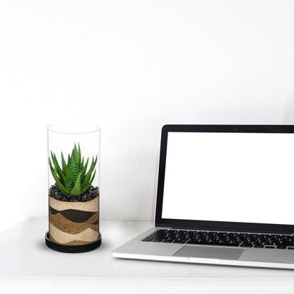 Artificial Succulent in Cylindrical Glass Vase Small Fake Cactus Plant with Modern Glass Terrarium Faux Plants Indoor Gift for Plant Lover Decor for Home Office Table Desk Shelf