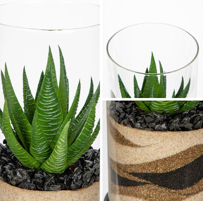 Artificial Succulent in Cylindrical Glass Vase Small Fake Cactus Plant with Modern Glass Terrarium Faux Plants Indoor Gift for Plant Lover Decor for Home Office Table Desk Shelf