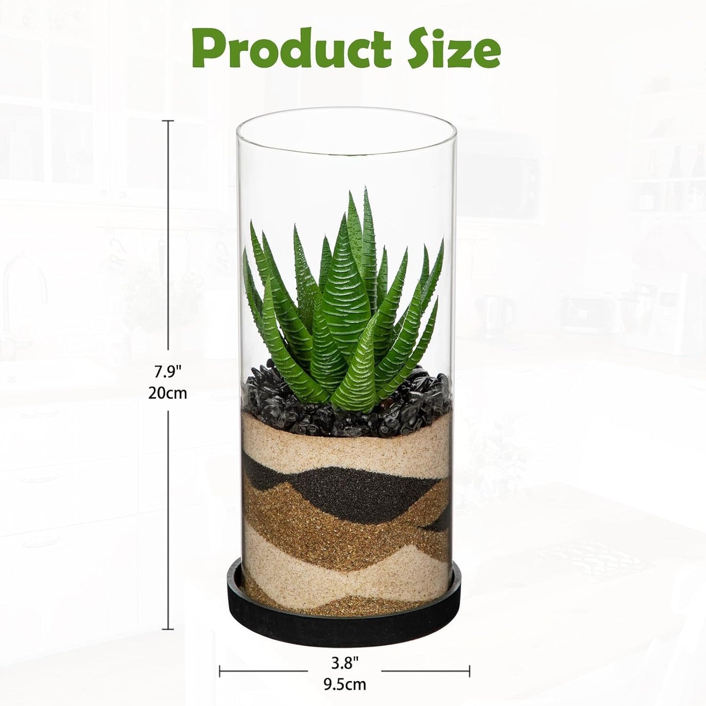 Artificial Succulent in Cylindrical Glass Vase Small Fake Cactus Plant with Modern Glass Terrarium Faux Plants Indoor Gift for Plant Lover Decor for Home Office Table Desk Shelf