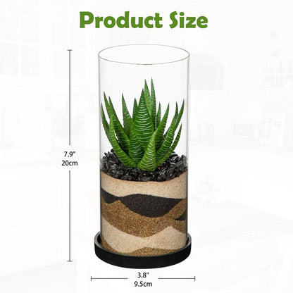 Artificial Succulent in Cylindrical Glass Vase Small Fake Cactus Plant with Modern Glass Terrarium Faux Plants Indoor Gift for Plant Lover Decor for Home Office Table Desk Shelf