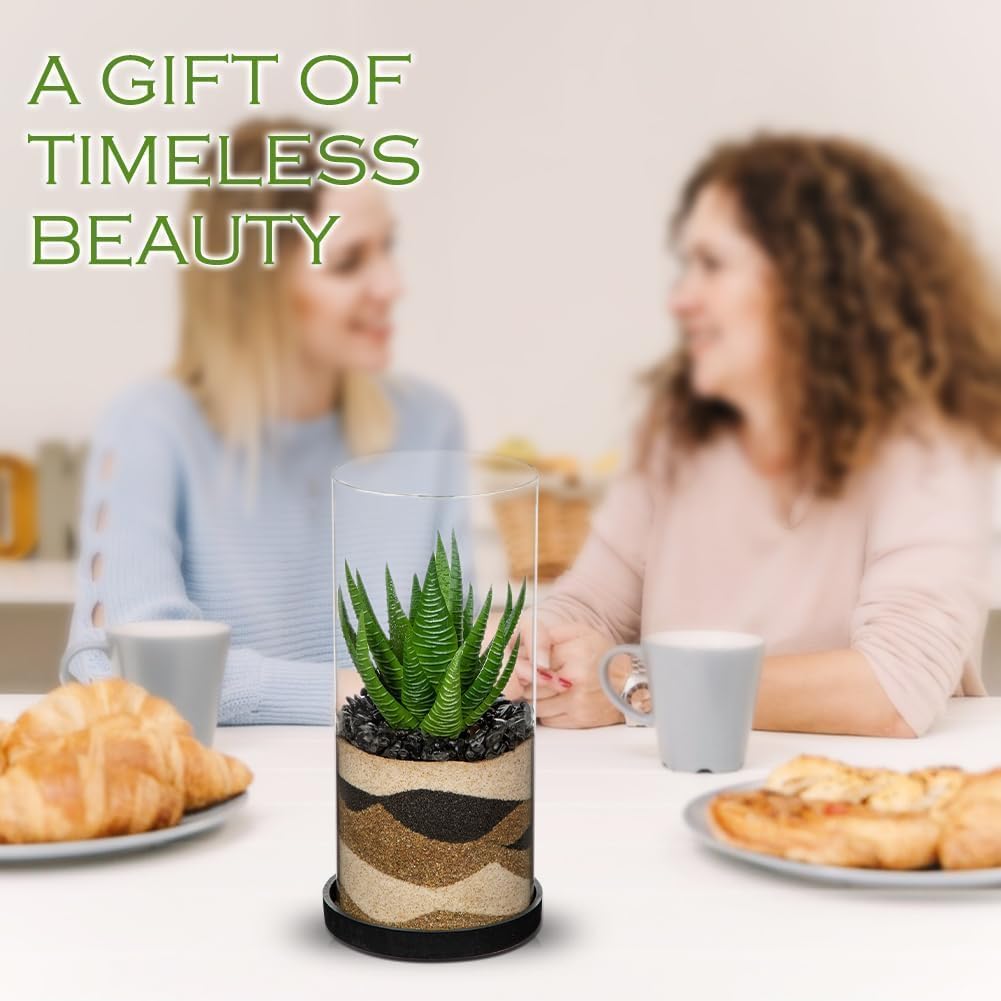 Artificial Succulent in Cylindrical Glass Vase Small Fake Cactus Plant with Modern Glass Terrarium Faux Plants Indoor Gift for Plant Lover Decor for Home Office Table Desk Shelf