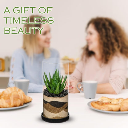 Artificial Succulent in Cylindrical Glass Vase Small Fake Cactus Plant with Modern Glass Terrarium Faux Plants Indoor Gift for Plant Lover Decor for Home Office Table Desk Shelf