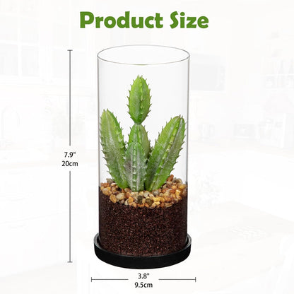Artificial Succulent in Cylindrical Glass Vase Small Fake Cactus Plant with Modern Glass Terrarium Faux Plants Indoor Gift for Plant Lover Decor for Home Office Table Desk Shelf
