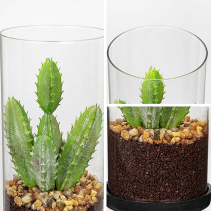 Artificial Succulent in Cylindrical Glass Vase Small Fake Cactus Plant with Modern Glass Terrarium Faux Plants Indoor Gift for Plant Lover Decor for Home Office Table Desk Shelf