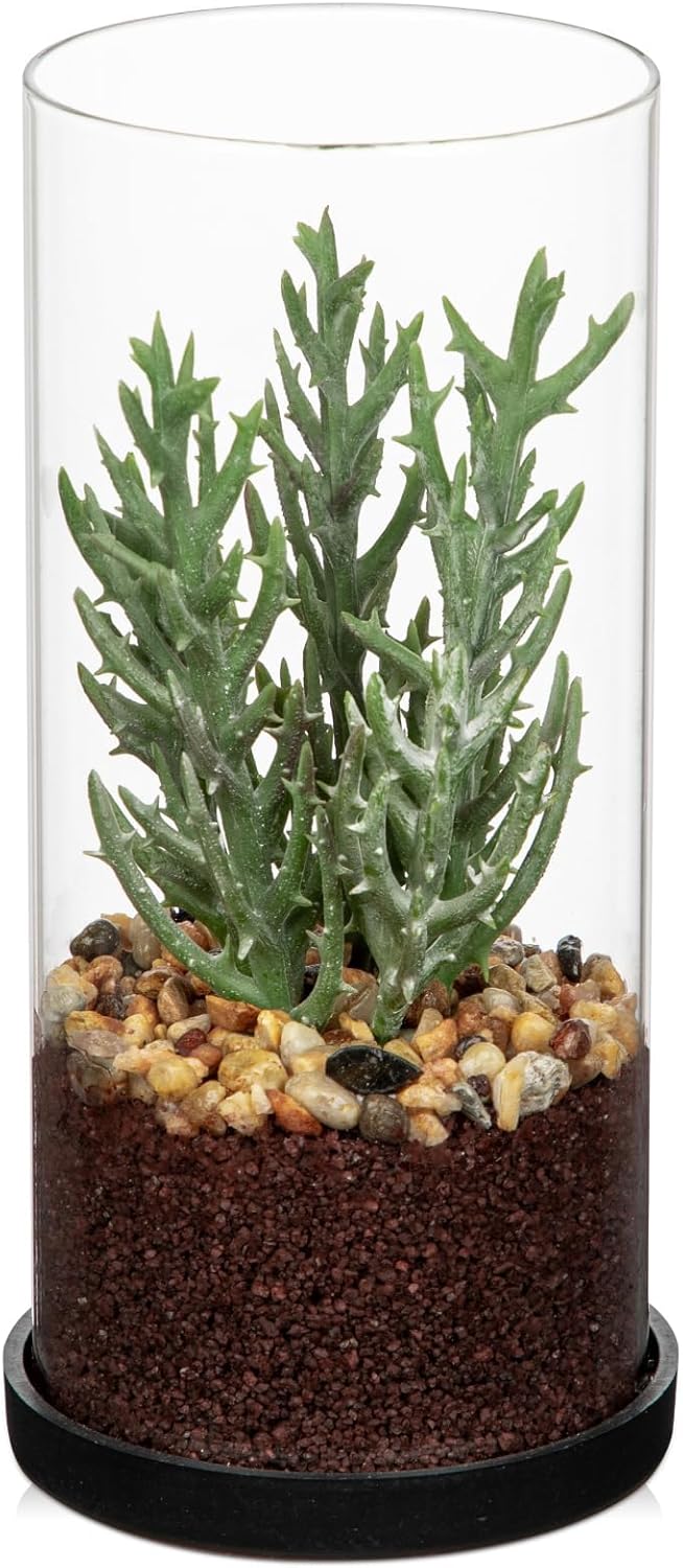 Artificial Succulent in Cylindrical Glass Vase Small Fake Cactus Plant with Modern Glass Terrarium Faux Plants Indoor Gift for Plant Lover Decor for Home Office Table Desk Shelf