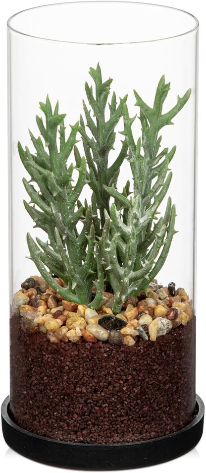 Artificial Succulent in Cylindrical Glass Vase Small Fake Cactus Plant with Modern Glass Terrarium Faux Plants Indoor Gift for Plant Lover Decor for Home Office Table Desk Shelf