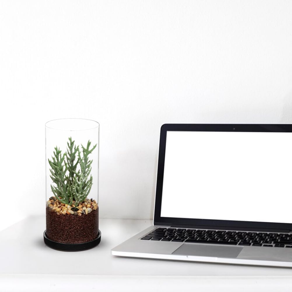 Artificial Succulent in Cylindrical Glass Vase Small Fake Cactus Plant with Modern Glass Terrarium Faux Plants Indoor Gift for Plant Lover Decor for Home Office Table Desk Shelf
