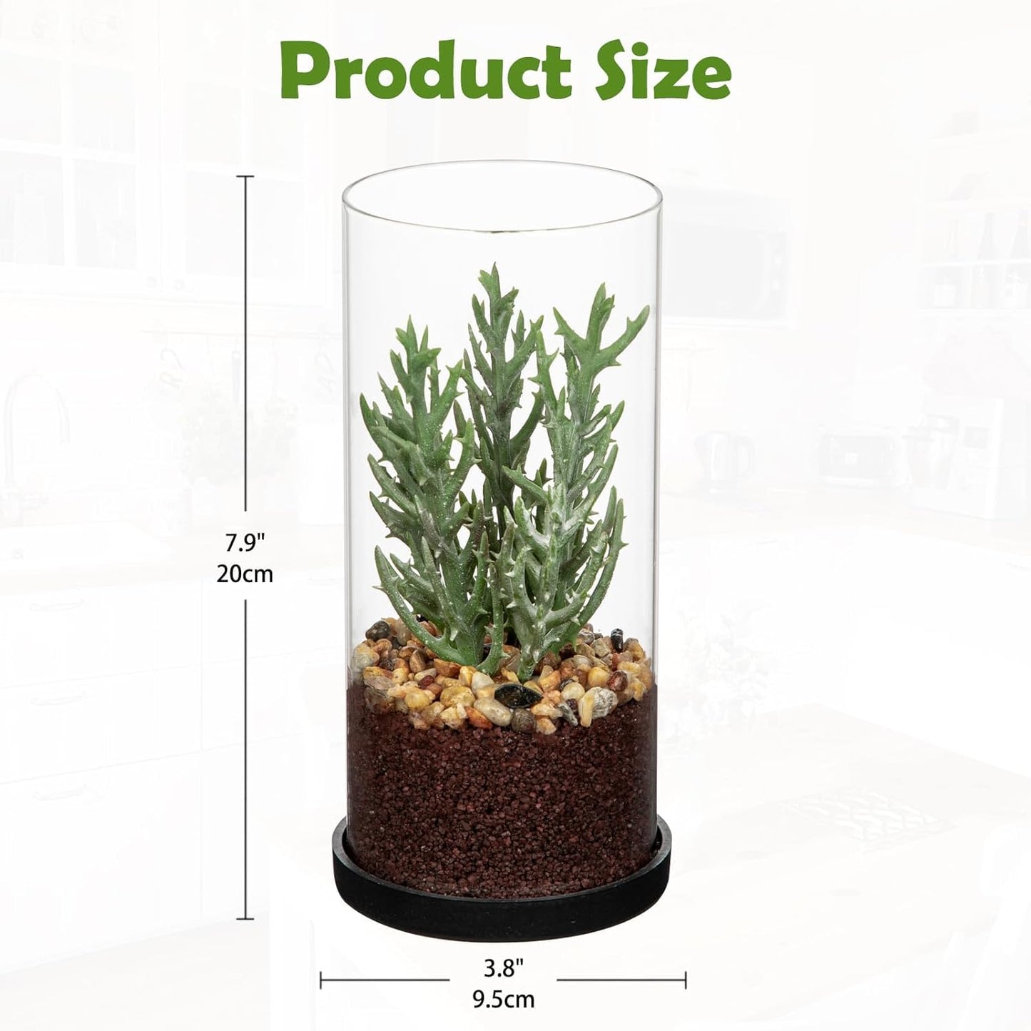 Artificial Succulent in Cylindrical Glass Vase Small Fake Cactus Plant with Modern Glass Terrarium Faux Plants Indoor Gift for Plant Lover Decor for Home Office Table Desk Shelf