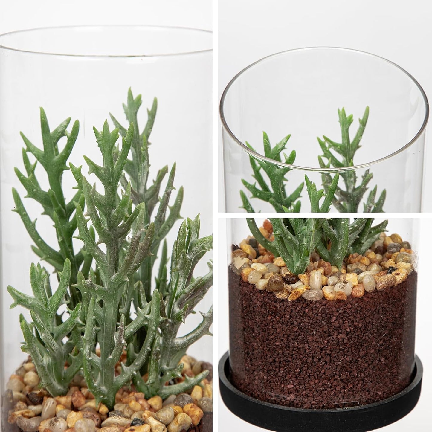 Artificial Succulent in Cylindrical Glass Vase Small Fake Cactus Plant with Modern Glass Terrarium Faux Plants Indoor Gift for Plant Lover Decor for Home Office Table Desk Shelf