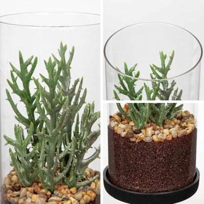 Artificial Succulent in Cylindrical Glass Vase Small Fake Cactus Plant with Modern Glass Terrarium Faux Plants Indoor Gift for Plant Lover Decor for Home Office Table Desk Shelf