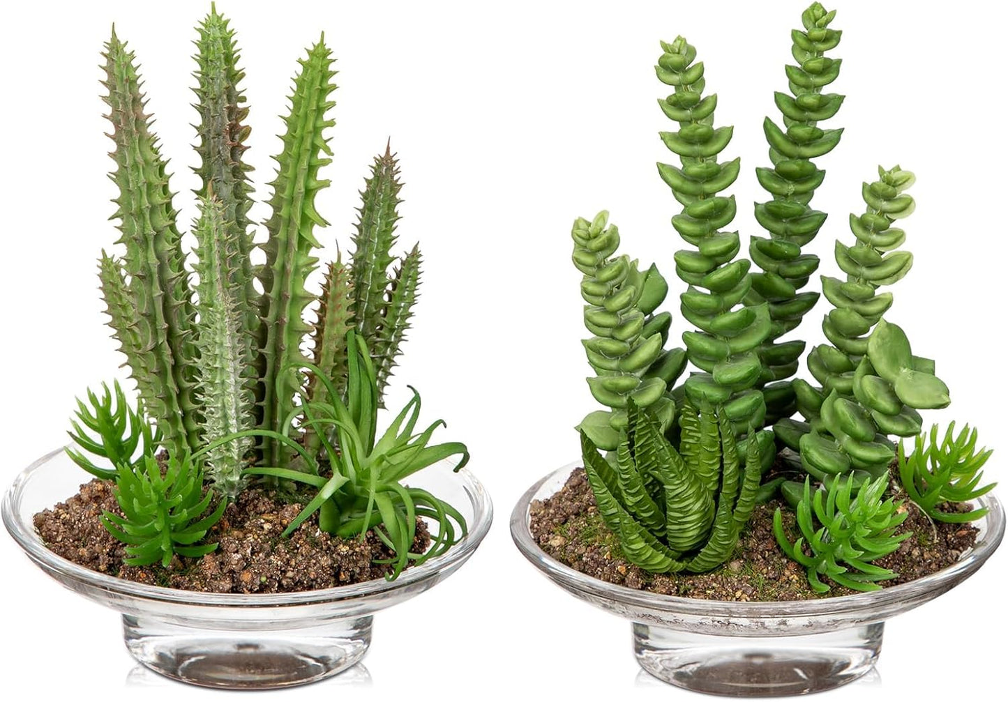 Artificial Succulent in Cylindrical Glass Vase Small Fake Cactus Plant with Modern Glass Terrarium Faux Plants Indoor Gift for Plant Lover Decor for Home Office Table Desk Shelf