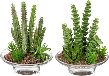 Artificial Succulent in Cylindrical Glass Vase Small Fake Cactus Plant with Modern Glass Terrarium Faux Plants Indoor Gift for Plant Lover Decor for Home Office Table Desk Shelf