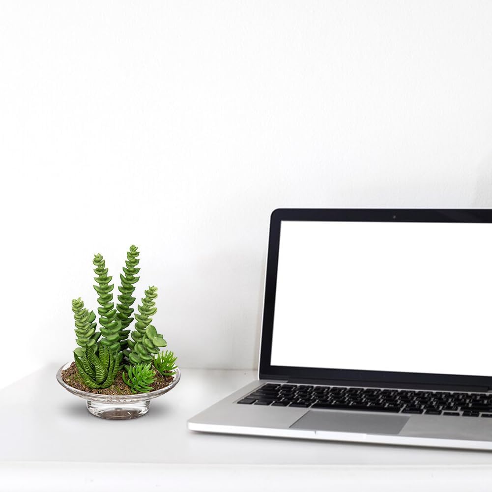 Artificial Succulent in Cylindrical Glass Vase Small Fake Cactus Plant with Modern Glass Terrarium Faux Plants Indoor Gift for Plant Lover Decor for Home Office Table Desk Shelf