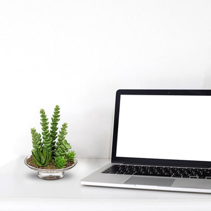 Artificial Succulent in Cylindrical Glass Vase Small Fake Cactus Plant with Modern Glass Terrarium Faux Plants Indoor Gift for Plant Lover Decor for Home Office Table Desk Shelf