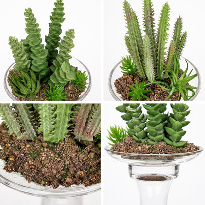 Artificial Succulent in Cylindrical Glass Vase Small Fake Cactus Plant with Modern Glass Terrarium Faux Plants Indoor Gift for Plant Lover Decor for Home Office Table Desk Shelf