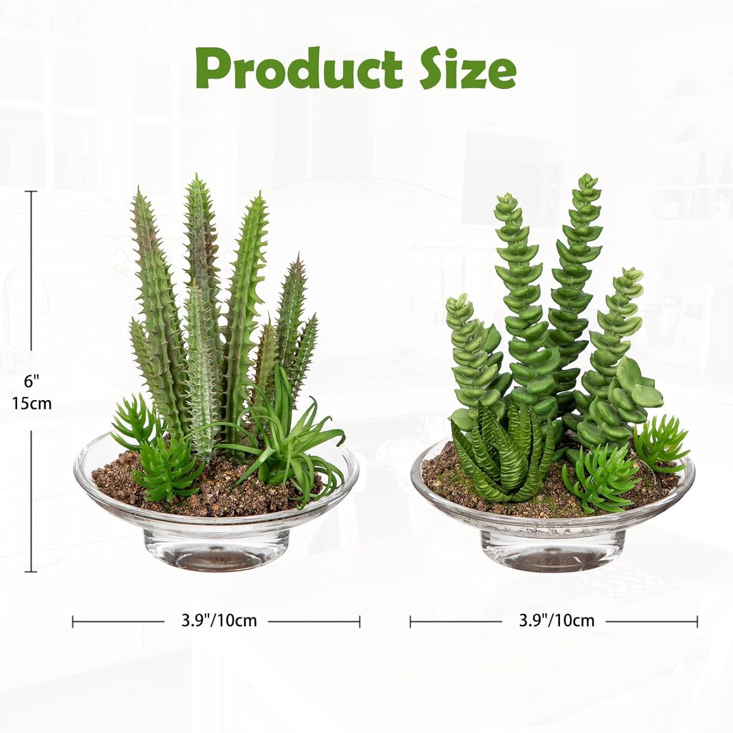 Artificial Succulent in Cylindrical Glass Vase Small Fake Cactus Plant with Modern Glass Terrarium Faux Plants Indoor Gift for Plant Lover Decor for Home Office Table Desk Shelf