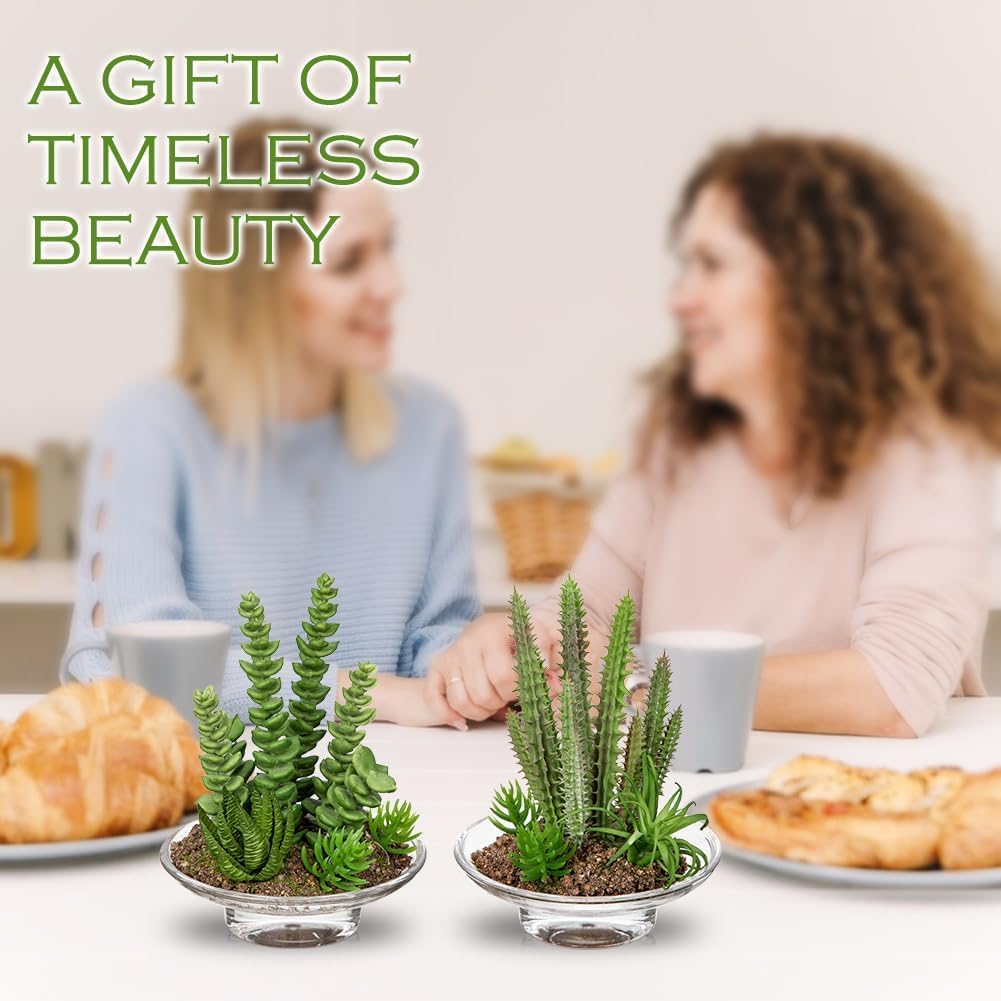 Artificial Succulent in Cylindrical Glass Vase Small Fake Cactus Plant with Modern Glass Terrarium Faux Plants Indoor Gift for Plant Lover Decor for Home Office Table Desk Shelf