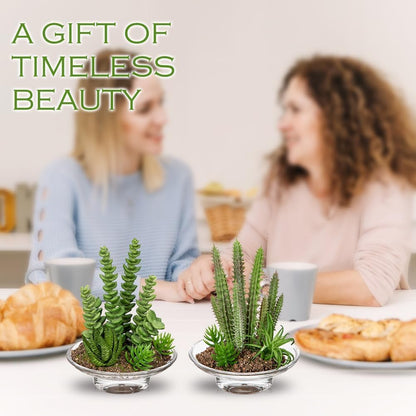 Artificial Succulent in Cylindrical Glass Vase Small Fake Cactus Plant with Modern Glass Terrarium Faux Plants Indoor Gift for Plant Lover Decor for Home Office Table Desk Shelf