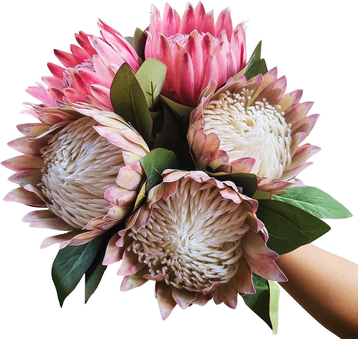 2 Pcs 21.65 Inch Big Artificial The King Protea Flowers Protea Cynaroides Artificial Flowers for Home Garden Wedding Party Office Decor (Rose Red)