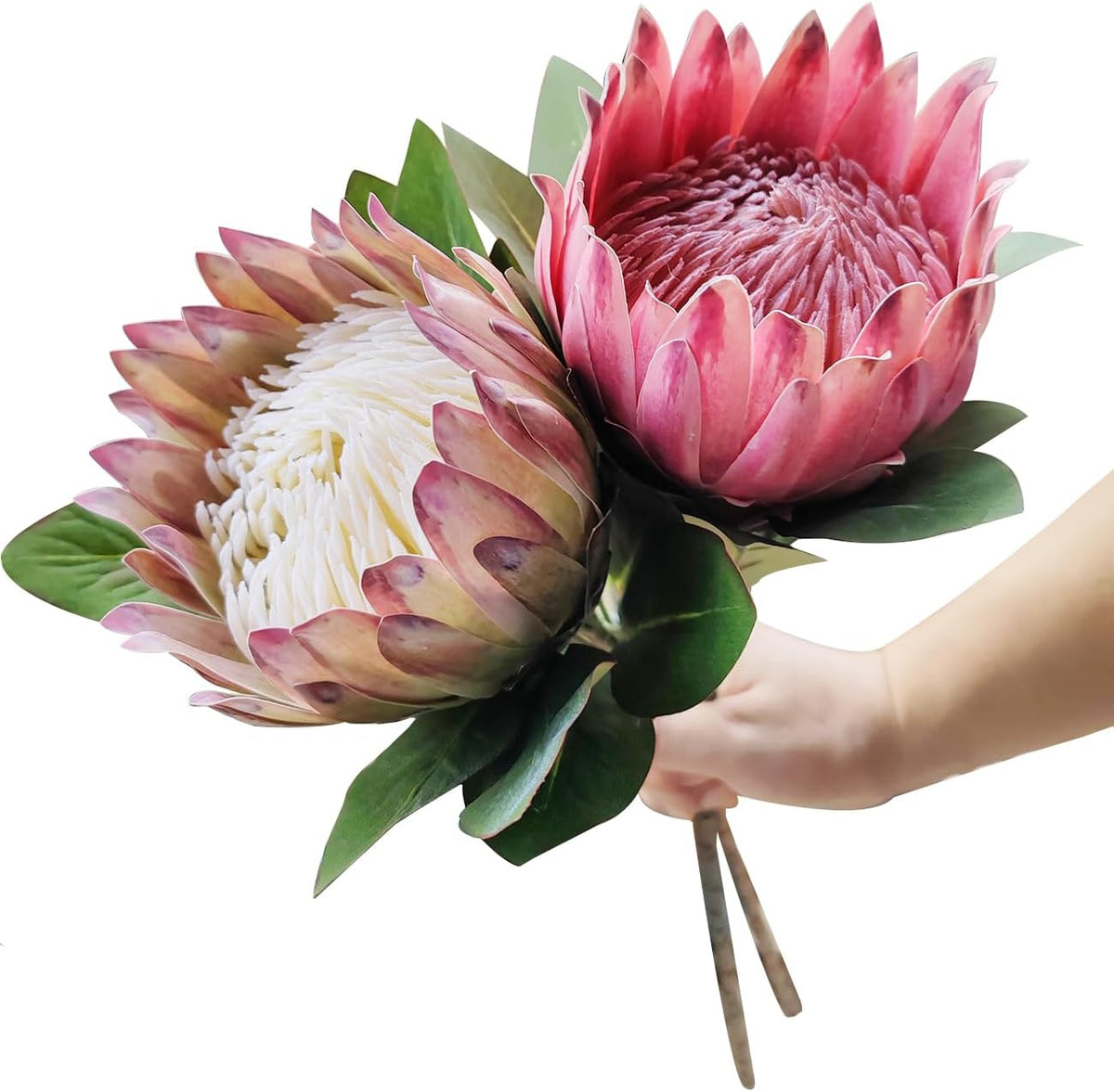 2 Pcs 21.65 Inch Big Artificial The King Protea Flowers Protea Cynaroides Artificial Flowers for Home Garden Wedding Party Office Decor (Rose Red)
