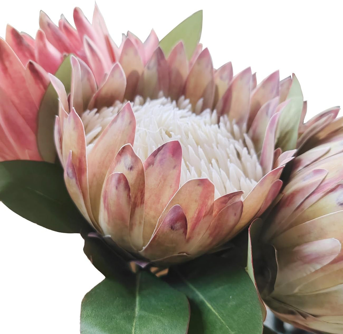 2 Pcs 21.65 Inch Big Artificial The King Protea Flowers Protea Cynaroides Artificial Flowers for Home Garden Wedding Party Office Decor (Rose Red)
