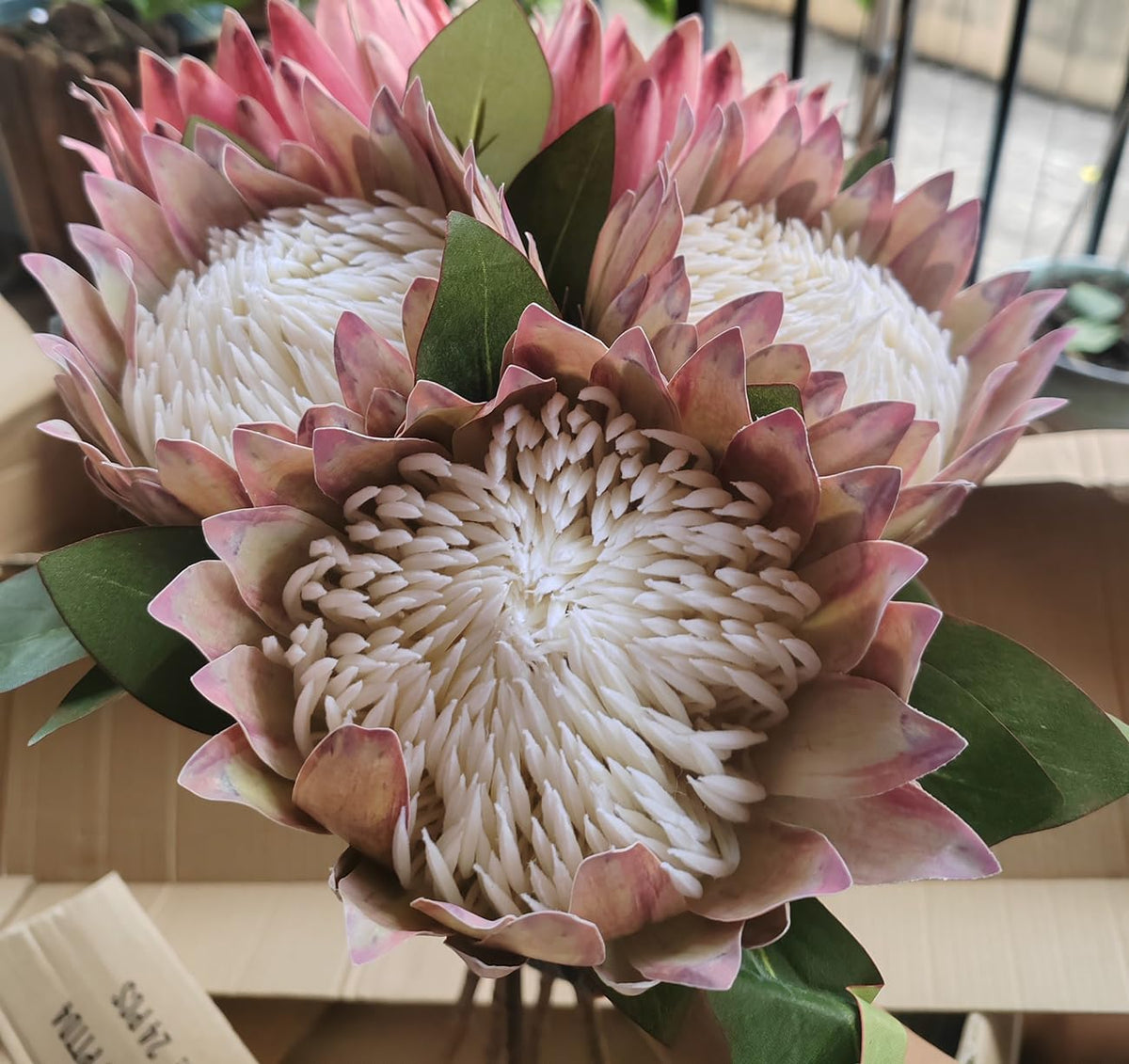 2 Pcs 21.65 Inch Big Artificial The King Protea Flowers Protea Cynaroides Artificial Flowers for Home Garden Wedding Party Office Decor (Rose Red)