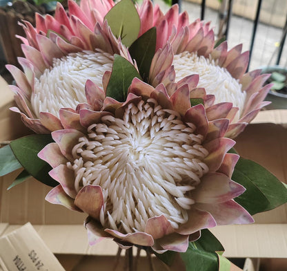2 Pcs 21.65 Inch Big Artificial The King Protea Flowers Protea Cynaroides Artificial Flowers for Home Garden Wedding Party Office Decor (Rose Red)