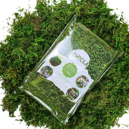 Artificial Moss, 16OZ Fake Moss for Crafts Table Centerpieces Fairy Garden Wedding Party Decor, Faux Grass for Potted Plants, 455gr (Fresh Green)