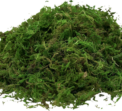Artificial Moss, 16OZ Fake Moss for Crafts Table Centerpieces Fairy Garden Wedding Party Decor, Faux Grass for Potted Plants, 455gr (Fresh Green)
