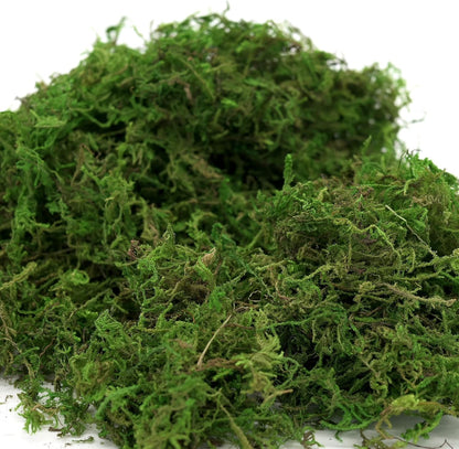 Artificial Moss, 16OZ Fake Moss for Crafts Table Centerpieces Fairy Garden Wedding Party Decor, Faux Grass for Potted Plants, 455gr (Fresh Green)