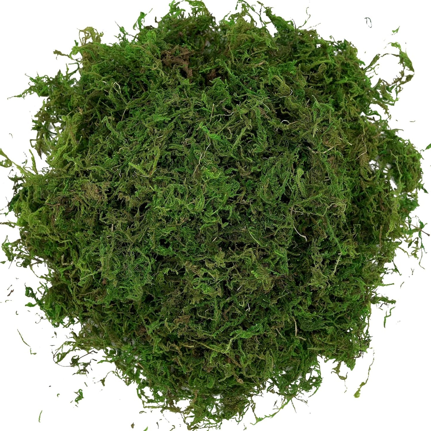 Artificial Moss, 16OZ Fake Moss for Crafts Table Centerpieces Fairy Garden Wedding Party Decor, Faux Grass for Potted Plants, 455gr (Fresh Green)